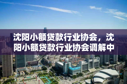 沈阳小额贷款行业协会,沈阳小额贷款行业协会调解中心可以发船票吗 沈阳小额贷款行业协会,沈阳小额贷款行业协会调解中心可以发船票吗