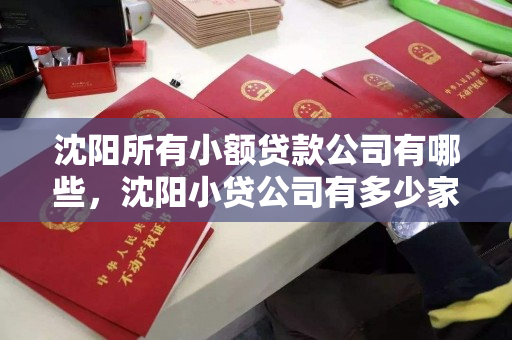 沈阳所有小额贷款公司有哪些,沈阳小贷公司有多少家 沈阳所有小额贷款公司有哪些,沈阳小贷公司有多少家