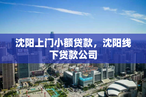 沈阳上门小额贷款,沈阳线下贷款公司 沈阳上门小额贷款,沈阳线下贷款公司