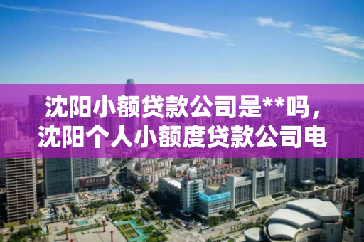 沈阳小额贷款公司是**吗,沈阳个人小额度贷款公司电话 沈阳小额贷款公司是**吗,沈阳个人小额度贷款公司电话