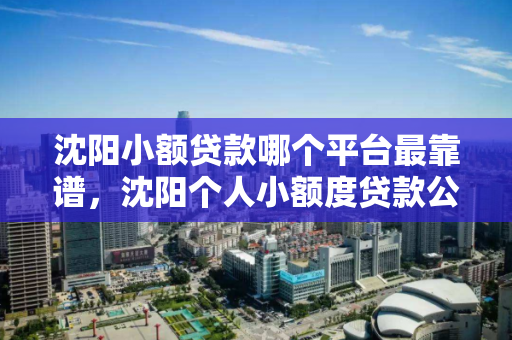 沈阳小额贷款哪个平台最靠谱，沈阳个人小额度贷款公司电话