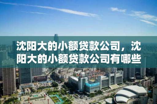 沈阳大的小额贷款公司,沈阳大的小额贷款公司有哪些 沈阳大的小额贷款公司,沈阳大的小额贷款公司有哪些