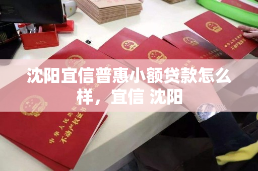 沈阳宜信普惠小额贷款怎么样，宜信 沈阳