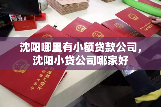 沈阳哪里有小额贷款公司,沈阳小贷公司哪家好 沈阳哪里有小额贷款公司,沈阳小贷公司哪家好