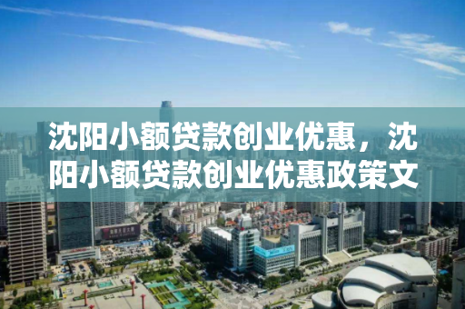 沈阳小额贷款创业优惠，沈阳小额贷款创业优惠政策文件