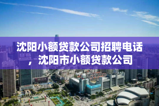 沈阳小额贷款公司招聘电话，沈阳市小额贷款公司