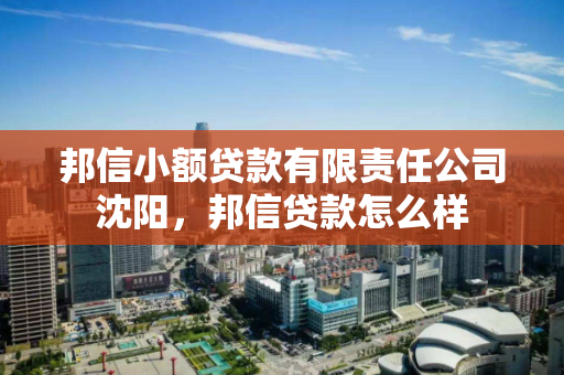 邦信小额贷款有限责任公司沈阳，邦信贷款怎么样