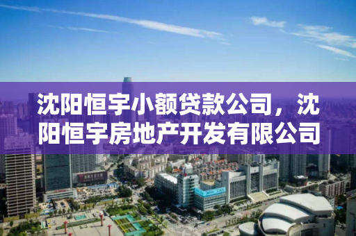 沈阳恒宇小额贷款公司,沈阳恒宇房地产开发有限公司 沈阳恒宇小额贷款公司,沈阳恒宇房地产开发有限公司