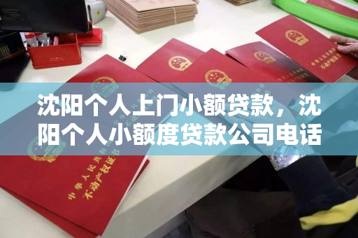 沈阳个人上门小额贷款,沈阳个人小额度贷款公司电话 沈阳个人上门小额贷款,沈阳个人小额度贷款公司电话