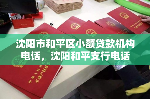 沈阳市和平区小额贷款机构电话，沈阳和平支行电话