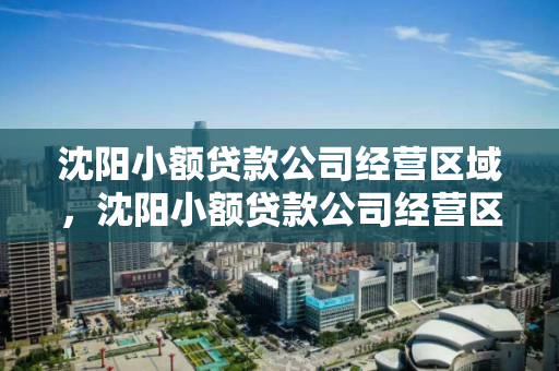 沈阳小额贷款公司经营区域，沈阳小额贷款公司经营区域有哪些