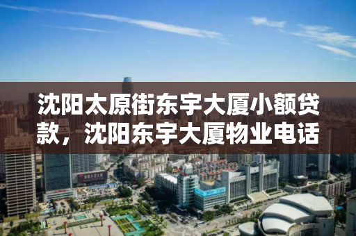 沈阳太原街东宇大厦小额贷款，沈阳东宇大厦物业电话
