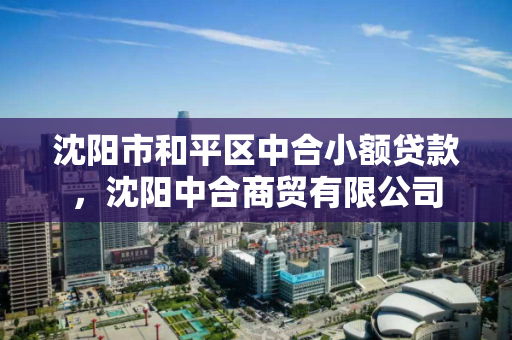 沈阳市和平区中合小额贷款,沈阳中合商贸有限公司 沈阳市和平区中合小额贷款,沈阳中合商贸有限公司