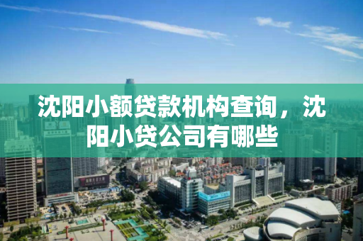 沈阳小额贷款机构查询,沈阳小贷公司有哪些 沈阳小额贷款机构查询,沈阳小贷公司有哪些