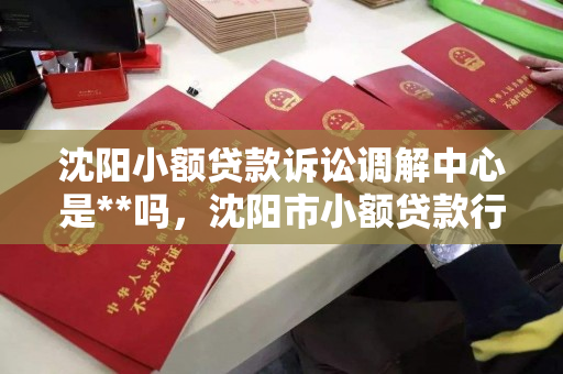 沈阳小额贷款诉讼调解中心是**吗,沈阳市小额贷款行业诉讼调解中心 沈阳小额贷款诉讼调解中心是**吗,沈阳市小额贷款行业诉讼调解中心