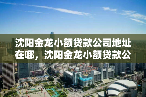 沈阳金龙小额贷款公司地址在哪，沈阳金龙小额贷款公司地址在哪里
