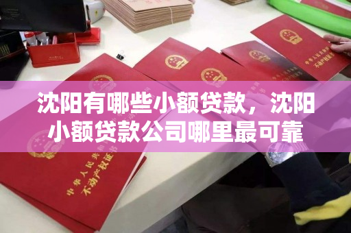 沈阳有哪些小额贷款,沈阳小额贷款公司哪里最可靠 沈阳有哪些小额贷款,沈阳小额贷款公司哪里最可靠