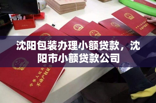 沈阳包装办理小额贷款,沈阳市小额贷款公司 沈阳包装办理小额贷款,沈阳市小额贷款公司