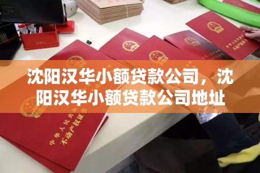 沈阳汉华小额贷款公司，沈阳汉华小额贷款公司地址