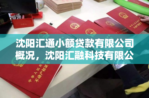 沈阳汇通小额贷款有限公司概况,沈阳汇融科技有限公司 沈阳汇通小额贷款有限公司概况,沈阳汇融科技有限公司