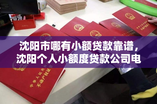 沈阳市哪有小额贷款靠谱,沈阳个人小额度贷款公司电话 沈阳市哪有小额贷款靠谱,沈阳个人小额度贷款公司电话
