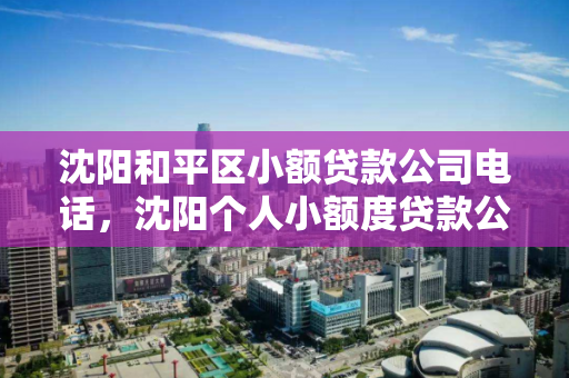 沈阳和平区小额贷款公司电话，沈阳个人小额度贷款公司电话