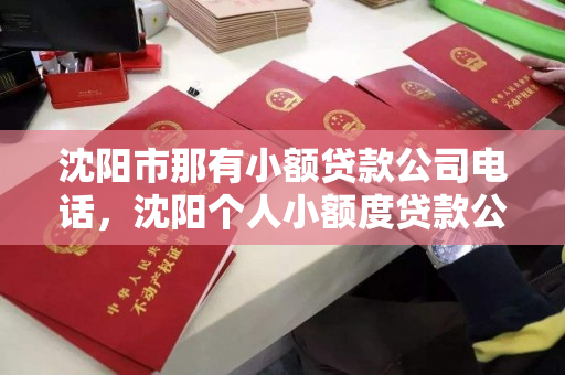 沈阳市那有小额贷款公司电话，沈阳个人小额度贷款公司电话