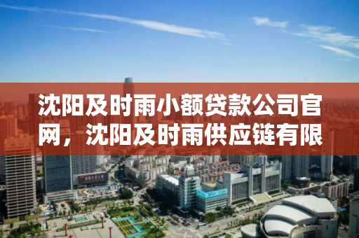 沈阳及时雨小额贷款公司官网，沈阳及时雨供应链有限公司
