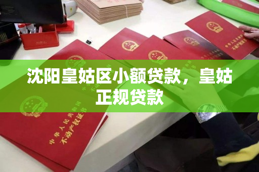 沈阳皇姑区小额贷款，皇姑正规贷款