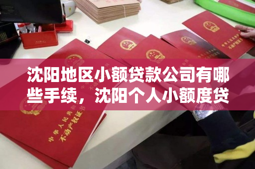 沈阳地区小额贷款公司有哪些手续,沈阳个人小额度贷款公司电话 沈阳地区小额贷款公司有哪些手续,沈阳个人小额度贷款公司电话