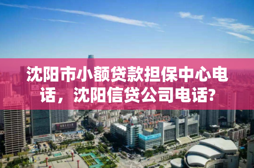 沈阳市小额贷款担保中心电话,沈阳信贷公司电话? 沈阳市小额贷款担保中心电话,沈阳信贷公司电话?