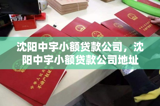 沈阳中宇小额贷款公司,沈阳中宇小额贷款公司地址 沈阳中宇小额贷款公司,沈阳中宇小额贷款公司地址