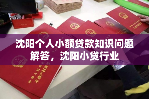 沈阳个人小额贷款知识问题解答,沈阳小贷行业 沈阳个人小额贷款知识问题解答,沈阳小贷行业