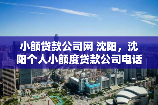 小额贷款公司网 沈阳，沈阳个人小额度贷款公司电话