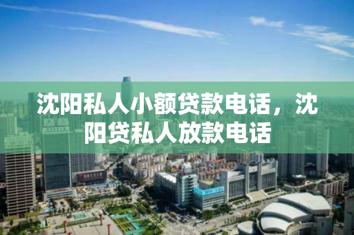 沈阳私人小额贷款电话,沈阳贷私人放款电话 沈阳私人小额贷款电话,沈阳贷私人放款电话