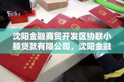 沈阳金融商贸开发区协联小额贷款有限公司,沈阳金融商贸开发区协联小额贷款有限公司正规吗 沈阳金融商贸开发区协联小额贷款有限公司,沈阳金融商贸开发区协联小额贷款有限公司正规吗