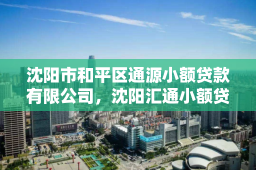 沈阳市和平区通源小额贷款有限公司,沈阳汇通小额贷款 沈阳市和平区通源小额贷款有限公司,沈阳汇通小额贷款