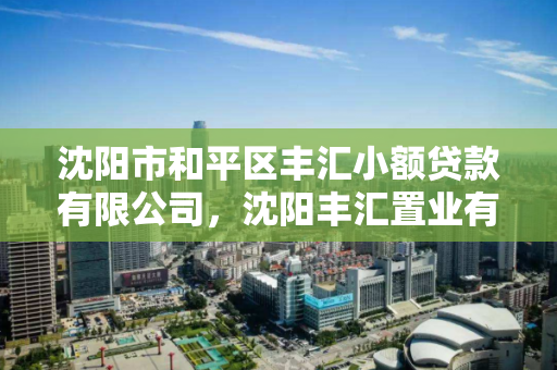 沈阳市和平区丰汇小额贷款有限公司，沈阳丰汇置业有限公司