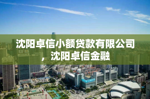 沈阳卓信小额贷款有限公司,沈阳卓信金融 沈阳卓信小额贷款有限公司,沈阳卓信金融