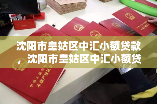 沈阳市皇姑区中汇小额贷款,沈阳市皇姑区中汇小额贷款中心 沈阳市皇姑区中汇小额贷款,沈阳市皇姑区中汇小额贷款中心