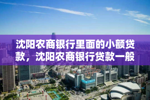 沈阳农商银行里面的小额贷款,沈阳农商银行贷款一般需要多长时间 沈阳农商银行里面的小额贷款,沈阳农商银行贷款一般需要多长时间