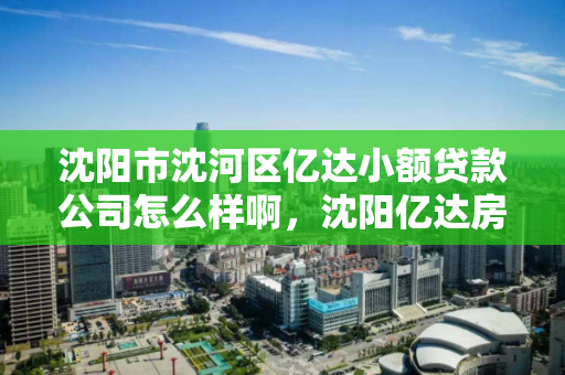 沈阳市沈河区亿达小额贷款公司怎么样啊,沈阳亿达房地产开发有限公司 沈阳市沈河区亿达小额贷款公司怎么样啊,沈阳亿达房地产开发有限公司