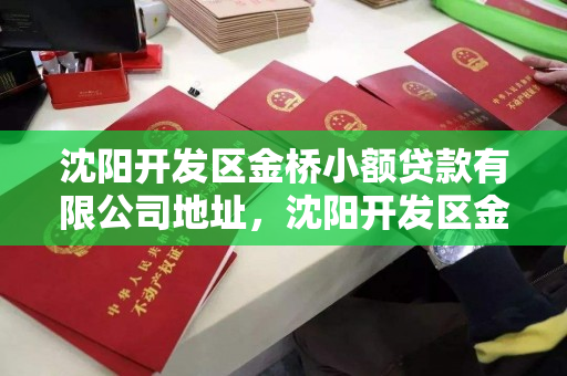 沈阳开发区金桥小额贷款有限公司地址，沈阳开发区金桥小额贷款有限公司地址在哪