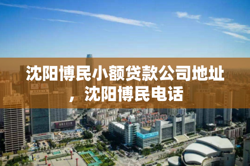沈阳博民小额贷款公司地址，沈阳博民电话