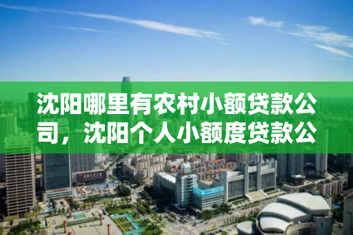 沈阳哪里有农村小额贷款公司,沈阳个人小额度贷款公司电话 沈阳哪里有农村小额贷款公司,沈阳个人小额度贷款公司电话