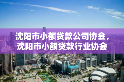 沈阳市小额贷款公司协会，沈阳市小额贷款行业协会