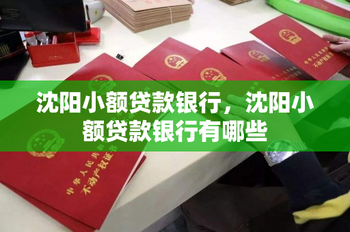 沈阳小额贷款银行，沈阳小额贷款银行有哪些