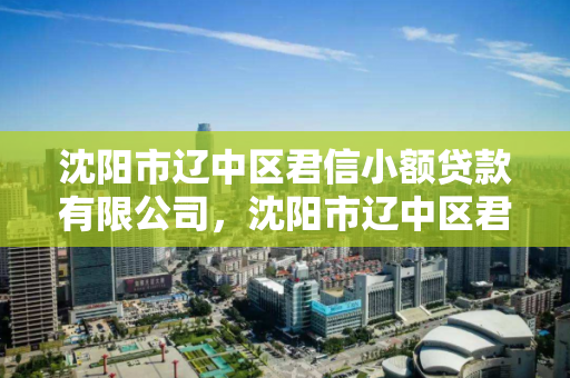 沈阳市辽中区君信小额贷款有限公司，沈阳市辽中区君信小额贷款有限公司怎么样