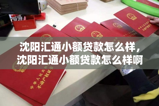 沈阳汇通小额贷款怎么样，沈阳汇通小额贷款怎么样啊