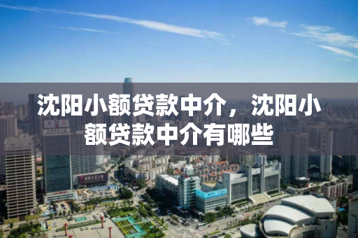 沈阳小额贷款中介，沈阳小额贷款中介有哪些